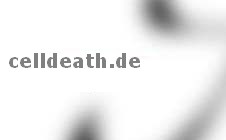 celldeath.de