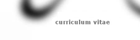 curriculum vitae